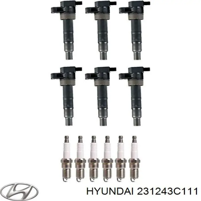 231243C111 Hyundai/Kia Демпфер колінвалу