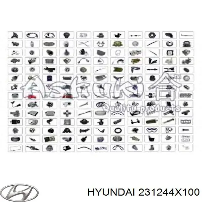 Купити 231244X100 Hyundai/Kia Шків колінчастого вала