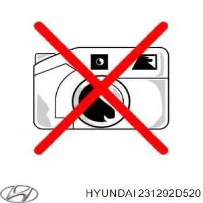 Купити 231292D520 Hyundai/Kia Натяжний ролик