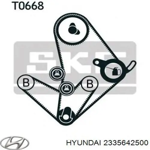 Ремінь балансувального вала Hyundai/Kia 2335642500 ціна, від 13.14 USD
