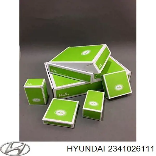 Купити 2341026111 Hyundai/Kia Поршнекомплекти без кілець