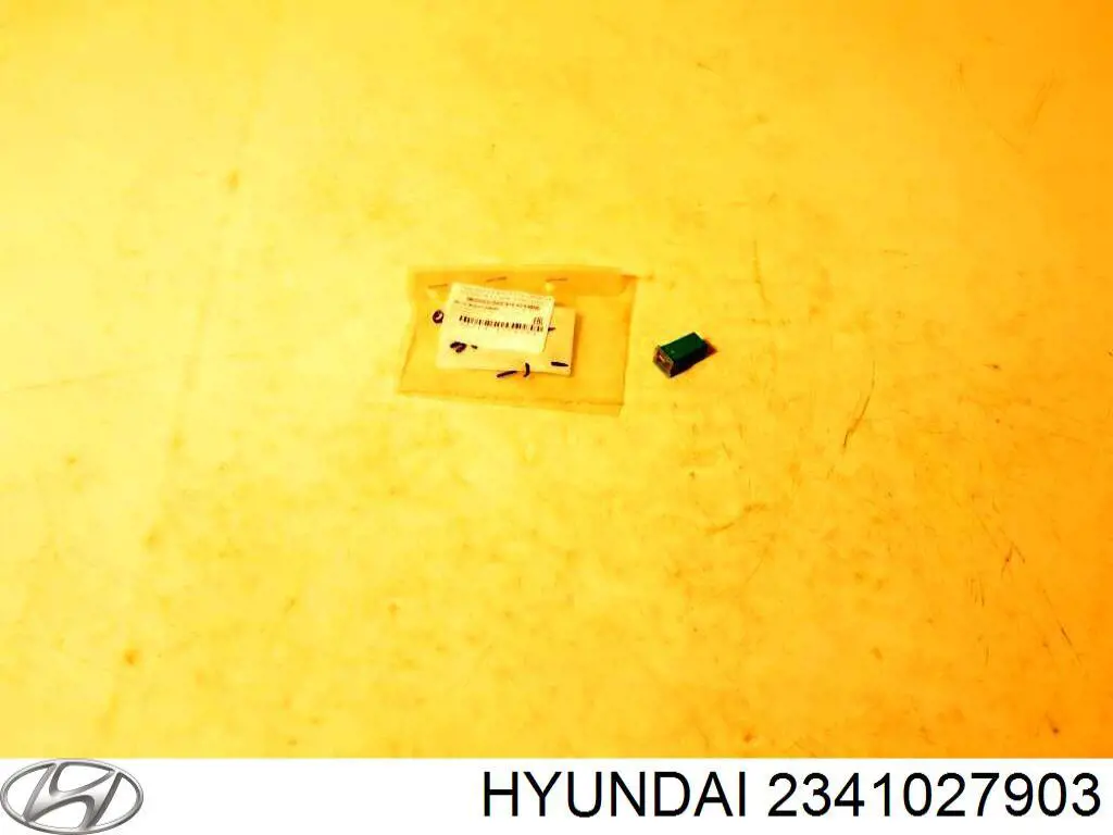 Поршень з пальцем без кілець, 1-й ремонт (+0,25) Hyundai/Kia 2341027903 ціна, від 87.76 USD