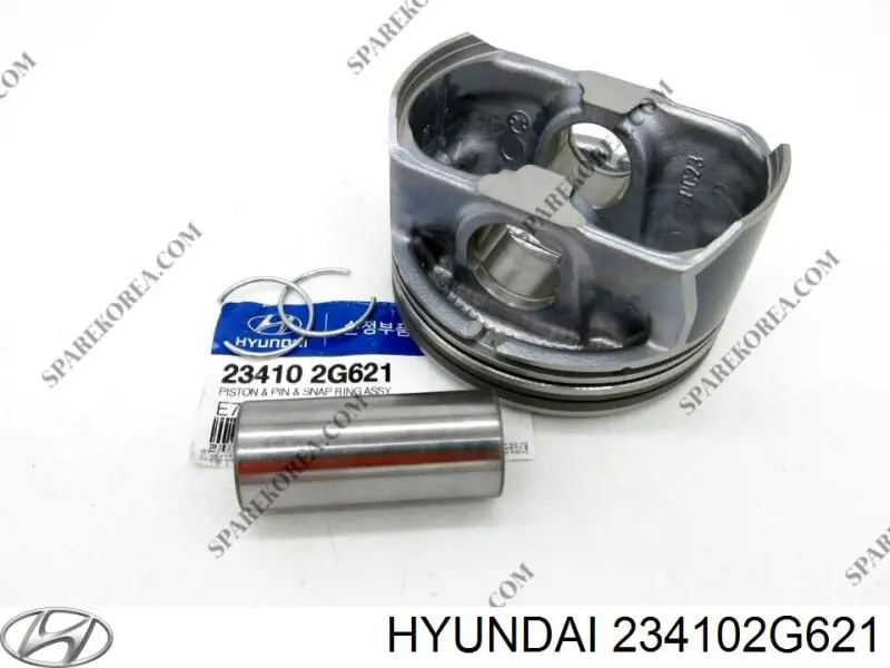 234102G621 Hyundai/Kia 
