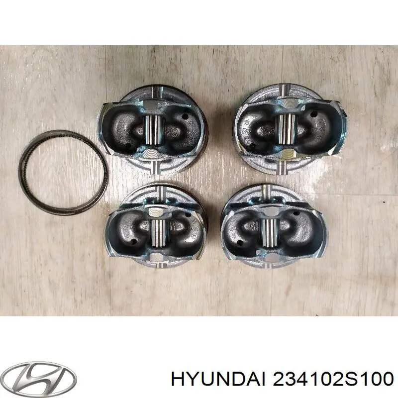 234102S100 Hyundai/Kia 