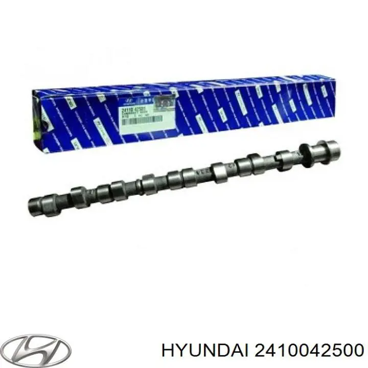2410042500 Hyundai/Kia розподілвал двигуна