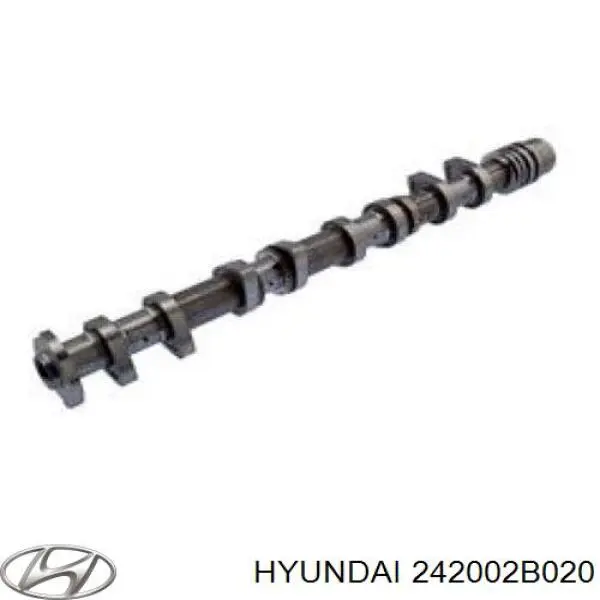 Розподільний вал двигуна випускний Hyundai/Kia 242002B020 ціна, від 81.52 USD