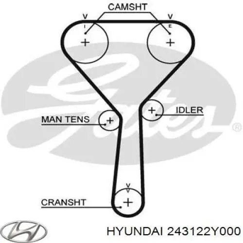 Зубчастий ремінь Hyundai/Kia 243122Y000 ціна, від 11.42 USD