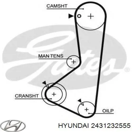 Зубчастий ремінь Hyundai/Kia 2431232555 ціна, від 11.97 USD