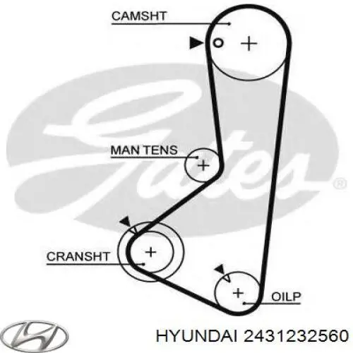Зубчастий ремінь Hyundai/Kia 2431232560 ціна, від 14.00 USD