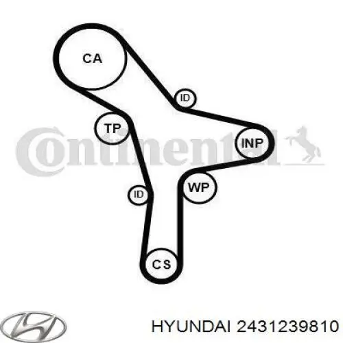 ГРМ ремінь Hyundai/Kia 2431239810