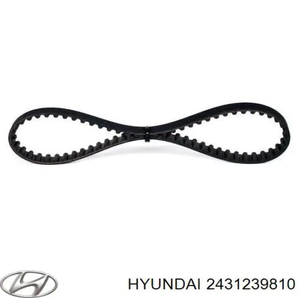Купити 2431239810 Hyundai/Kia Ремінь газорозподільного механізму