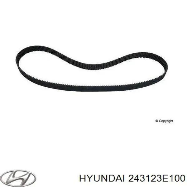 243123E100 Hyundai/Kia ремінь грм