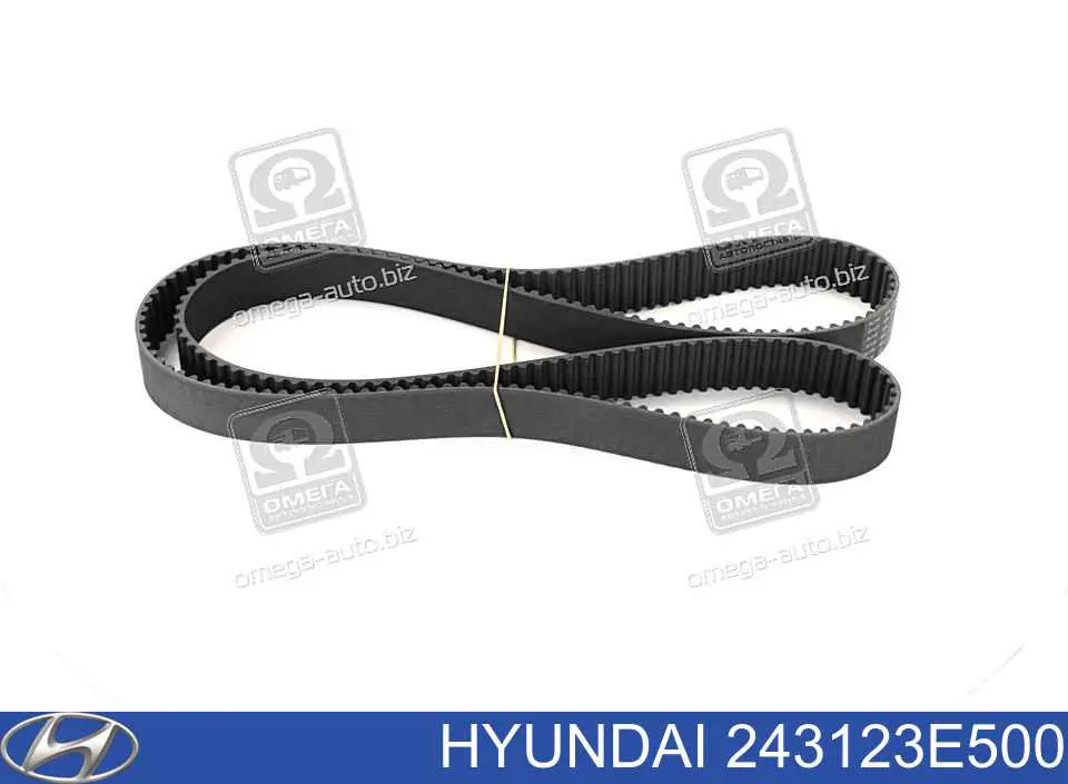 Купити 243123E500 Hyundai/Kia Ремінь газорозподільного механізму