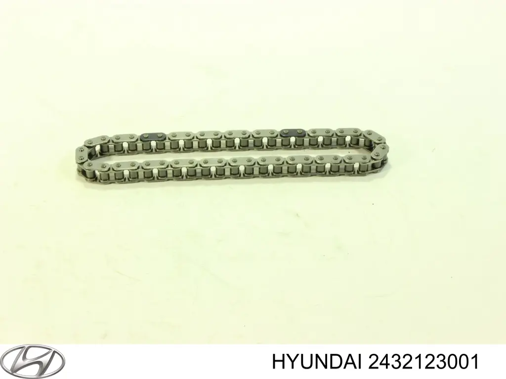 Ланцюг Hyundai/Kia 2432123001 ціна, від 9.70 USD