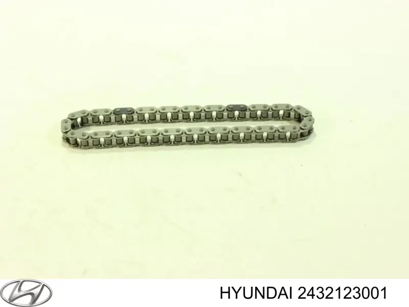 2432123001 Hyundai/Kia Ланцюг приводу распредвала