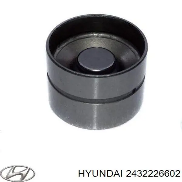 Купити 2432226602 General Motors Шестерня фазорегулятора