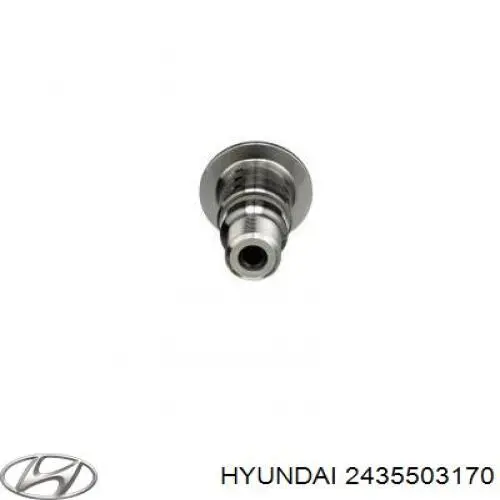 2435503170 Hyundai/Kia клапан електромагнітний положення (фаз розподільного валу)