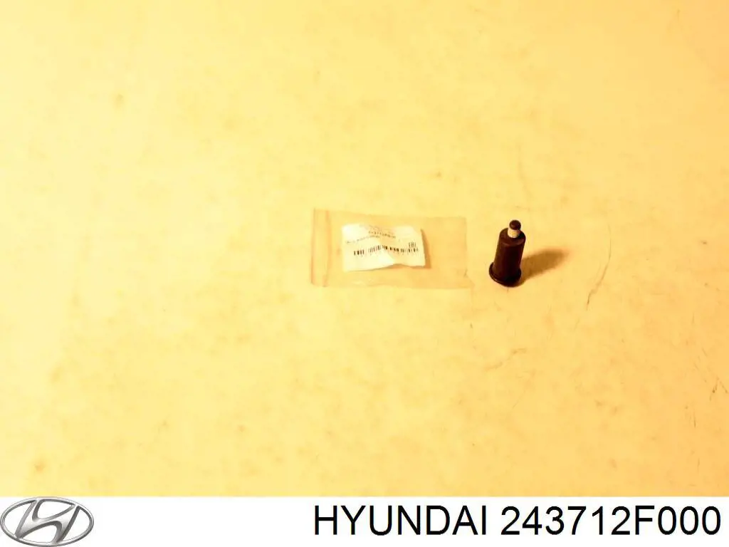  243712F000 Hyundai/Kia