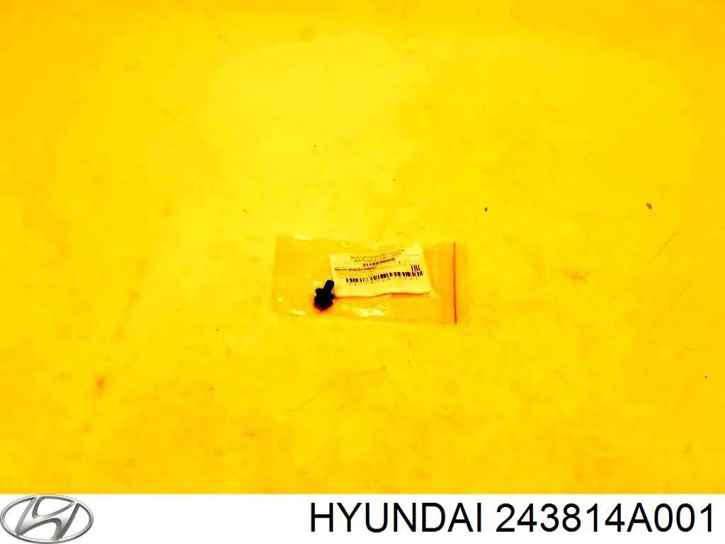  243814A001 Hyundai/Kia