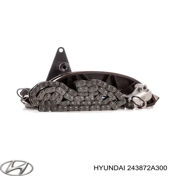 243872A300 Hyundai/Kia Заспокоювач ланцюга ГРМ, верхній