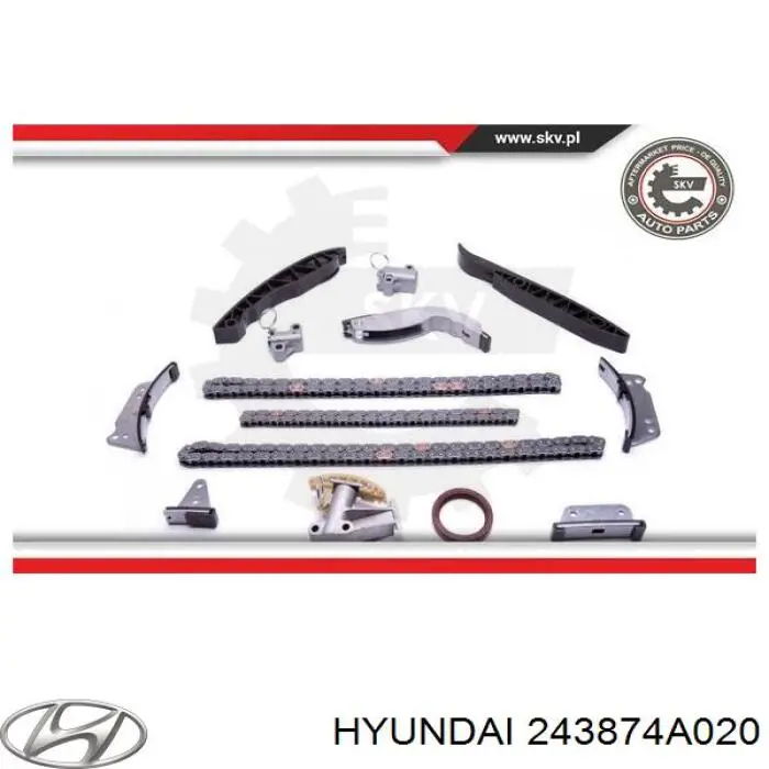 Заспокоювач ланцюга ГРМ, лівий Hyundai/Kia 243874A020 ціна, від 6.72 USD