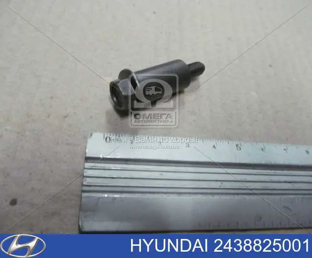2438825001 Hyundai/Kia Ланцюг масляного насоса, комплект