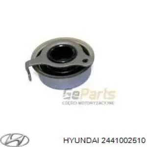 Натягувач ременя ГРМ Hyundai/Kia 2441002510