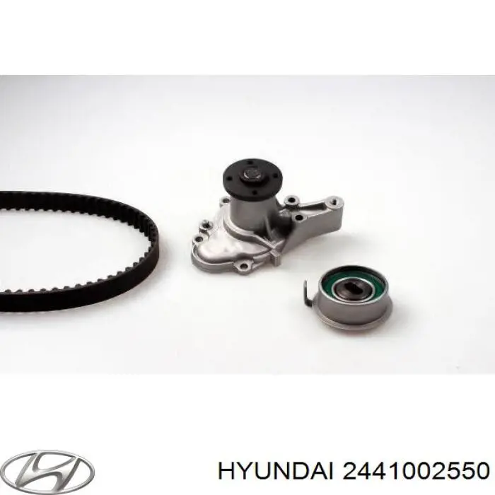 Натягувач ременя ГРМ 2441002550 Hyundai/Kia