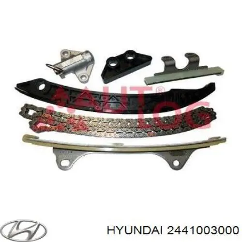 Натягувач ланцюга ГРМ Hyundai I10 (PA) (Хендай Ай 10)