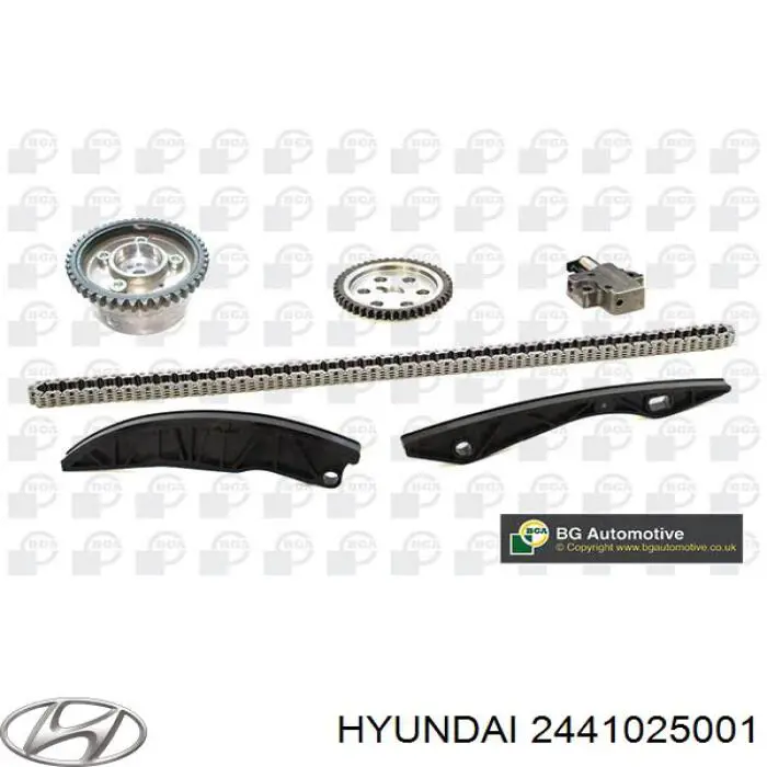 Гідронатяжитель ланцюга Hyundai/Kia 2441025001