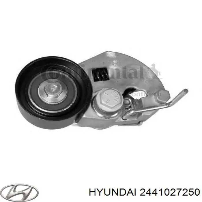 Купити 2441027250 Hyundai/Kia Натягувач ременя ГРМ