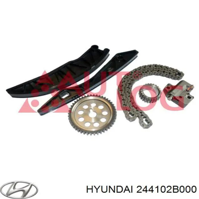 244102B000 Hyundai/Kia натягувач ланцюга грм