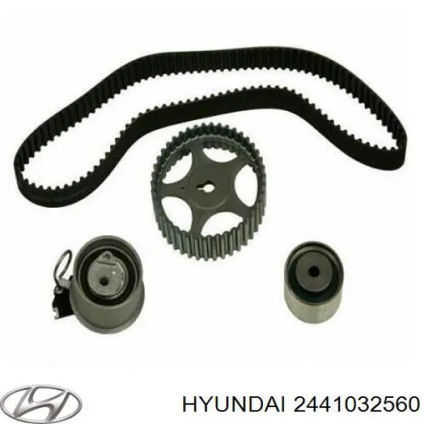 Купити 2441032560 Hyundai/Kia Натягувач ременя ГРМ