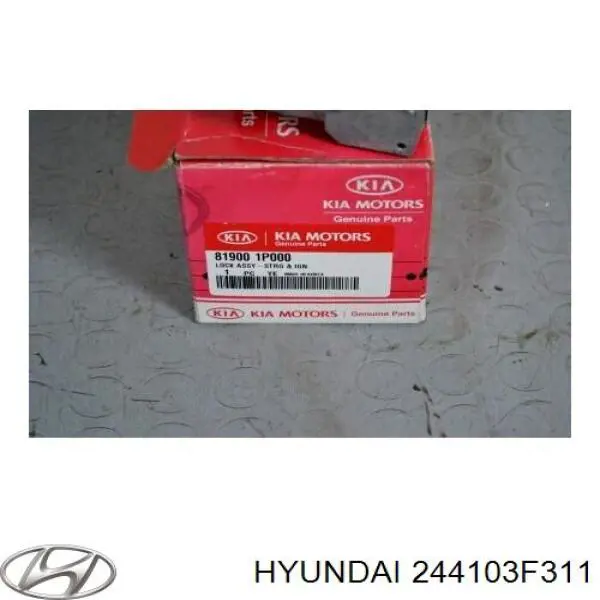  244103F311 Hyundai/Kia