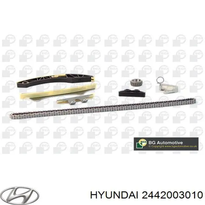 2442003010 Hyundai/Kia Башмак натягувача ланцюга ГРМ