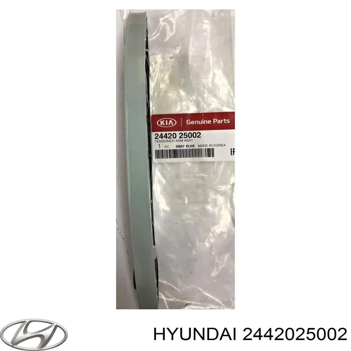 Башмак натягувача ланцюга ГРМ Hyundai/Kia 2442025002