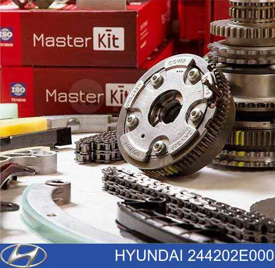 Купити 244202E000ZUHY Zuiko Заспокоювач ланцюга ГРМ, правий
