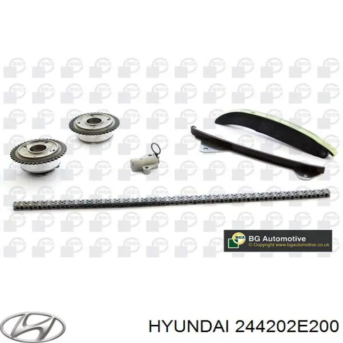244202E200 Hyundai/Kia башмак натягувача ланцюга грм