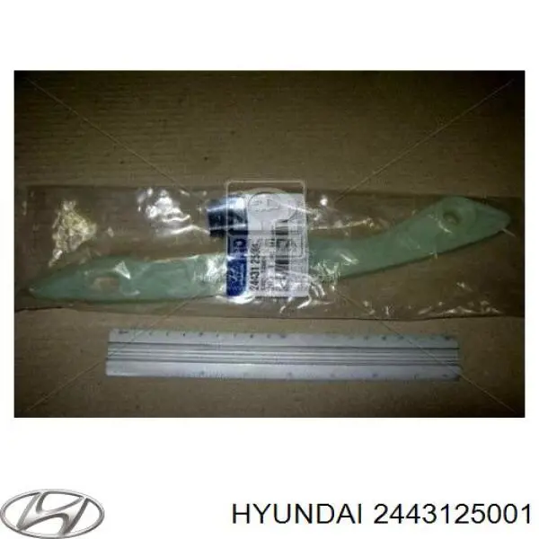 2443125001 Hyundai/Kia заспокоювач ланцюга грм