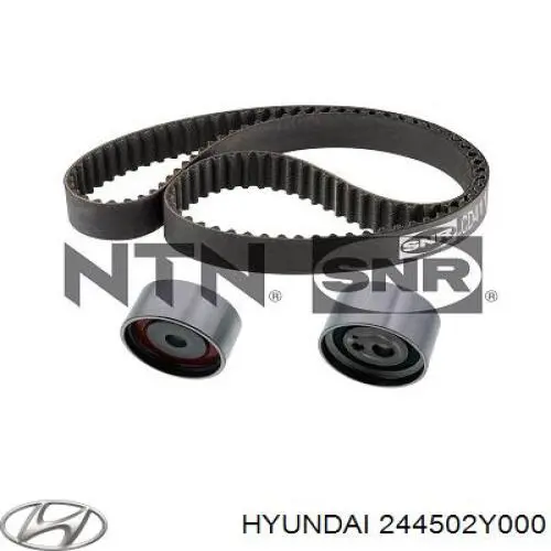Купити 244502Y000 Hyundai/Kia Натяжний ролик