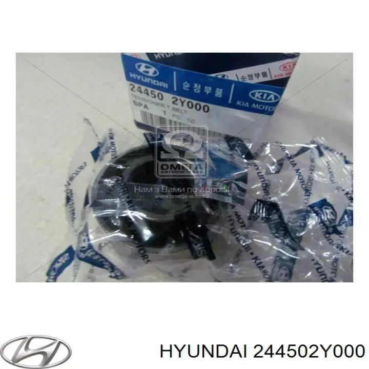 Ролик ГРМ Hyundai/Kia 244502Y000