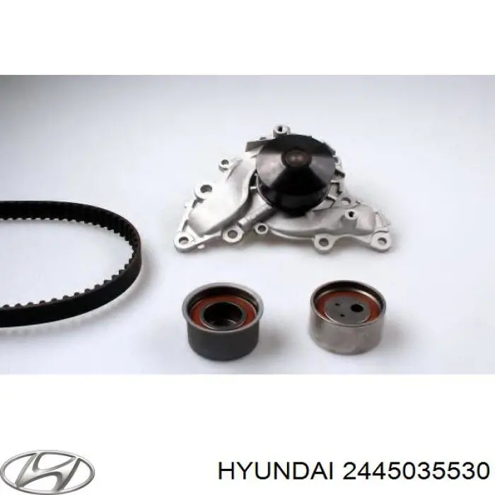 Ролик натягувача ременя ГРМ 2445035530 Hyundai/Kia