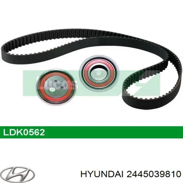 Ролик натягувача ременя ГРМ 2445039810 Hyundai/Kia