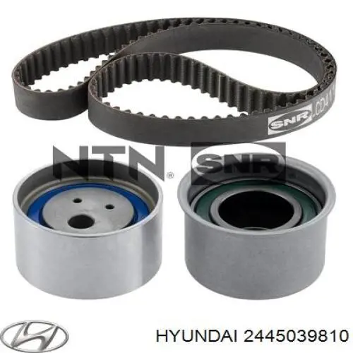 Купити 2445039810 Hyundai/Kia Натяжний ролик