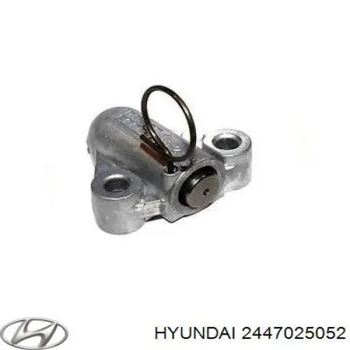 Натягувач ланцюга насосу масляного Hyundai/Kia 2447025052 ціна, від 21.08 USD