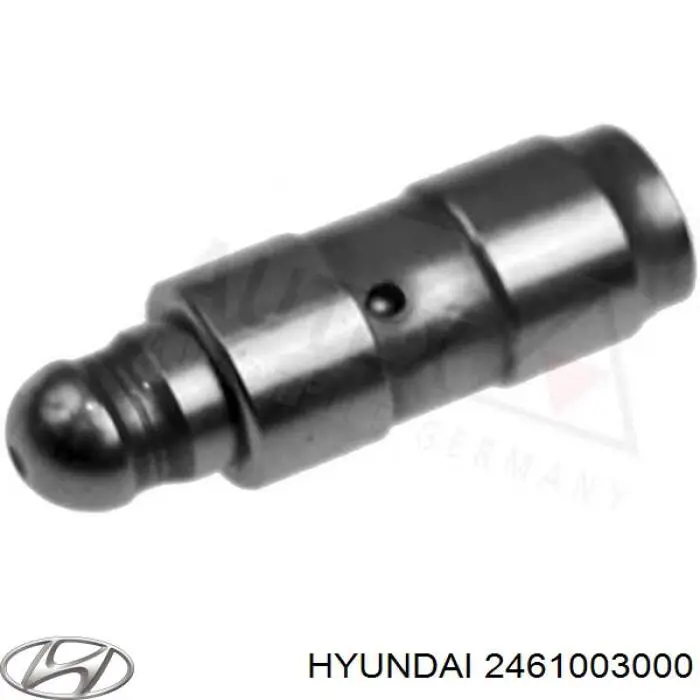Купити 2461003000 Hyundai/Kia Штовхач клапанів двигуна