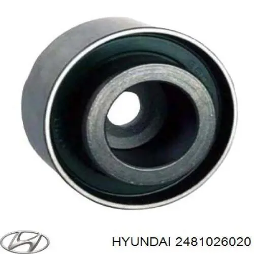 2481026020 Hyundai/Kia Паразитний провідний ролик