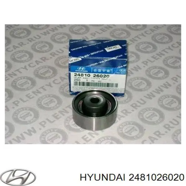 2481026020 Hyundai/Kia ролик ременя грм, паразитний