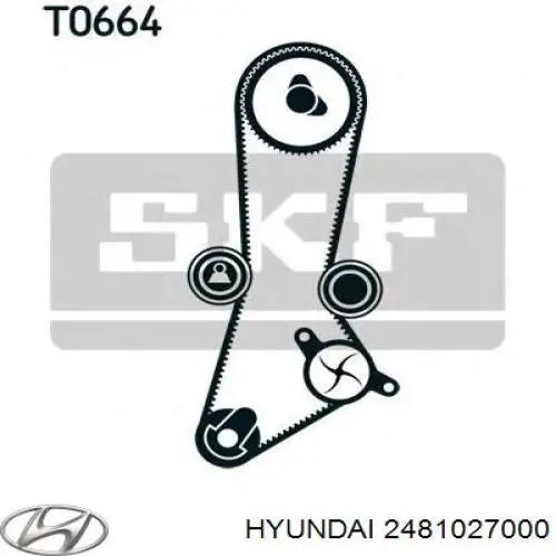 Купити 2481027000 Hyundai/Kia Ролик паразитний ГРМ