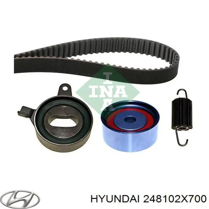 Купити 248102X700 Hyundai/Kia Ролик паразитний ГРМ